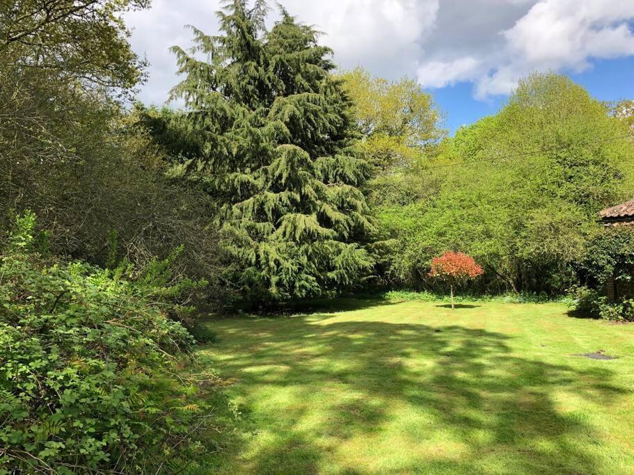 Forestry Cottage. Hot Tub, Open Fire, Dog Friendly Gaywood Esterno foto