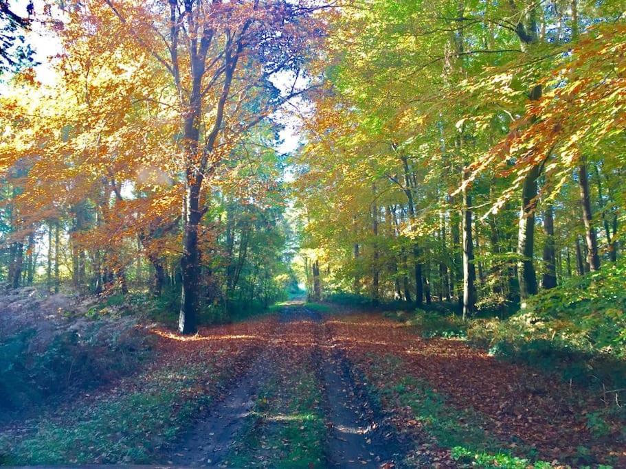 Forestry Cottage. Hot Tub, Open Fire, Dog Friendly Gaywood Esterno foto