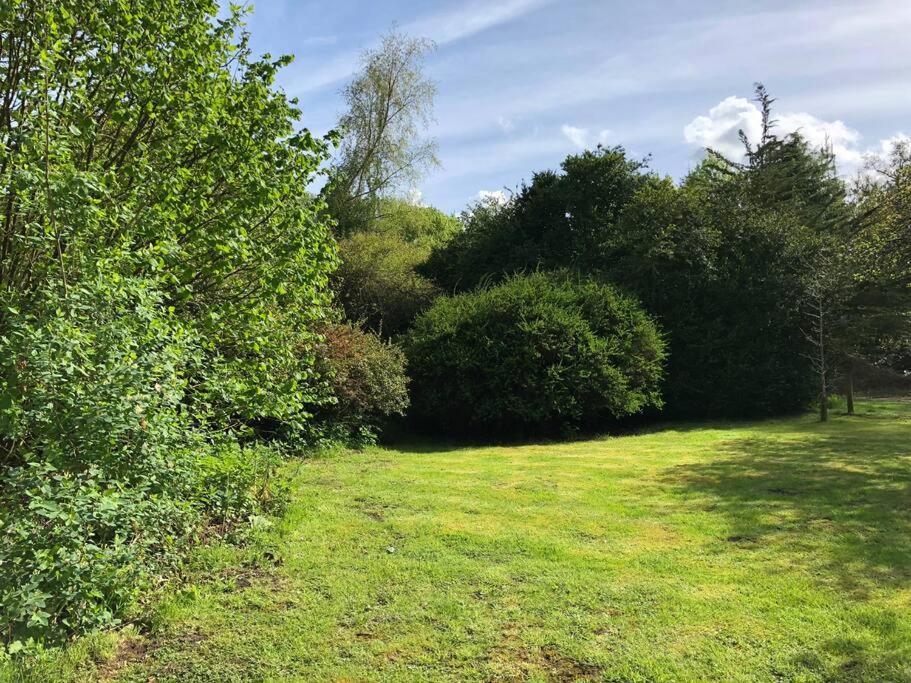 Forestry Cottage. Hot Tub, Open Fire, Dog Friendly Gaywood Esterno foto