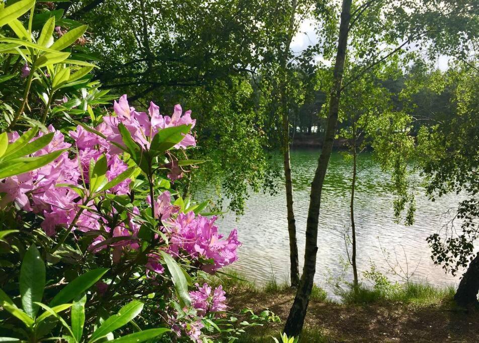 Forestry Cottage. Hot Tub, Open Fire, Dog Friendly Gaywood Esterno foto