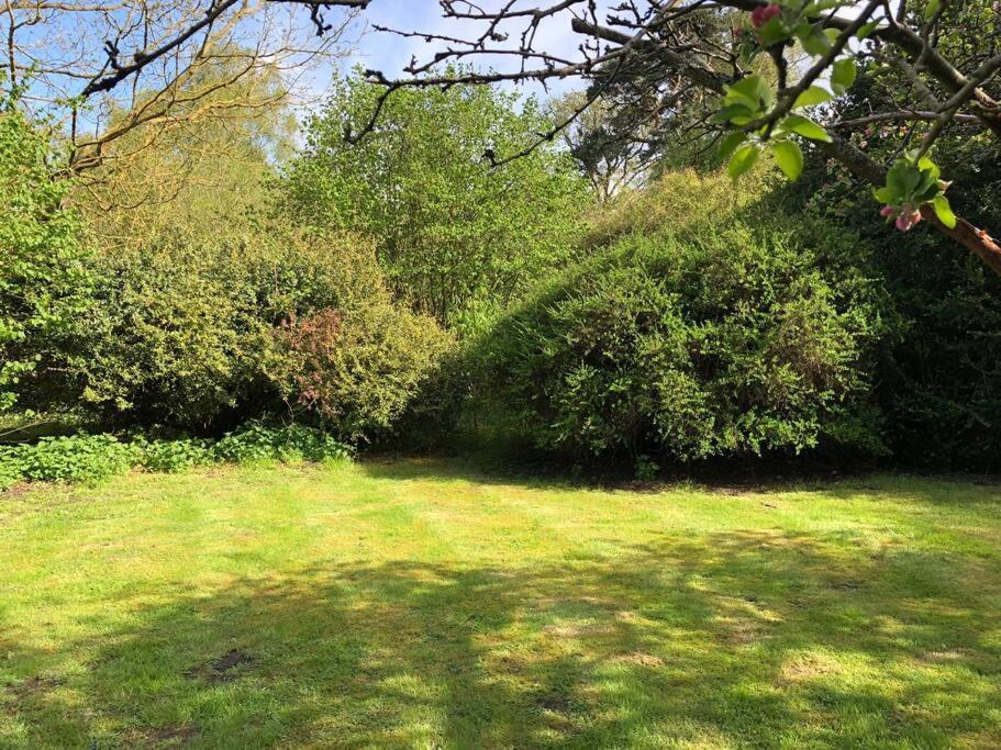 Forestry Cottage. Hot Tub, Open Fire, Dog Friendly Gaywood Esterno foto