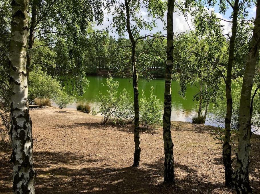 Forestry Cottage. Hot Tub, Open Fire, Dog Friendly Gaywood Esterno foto