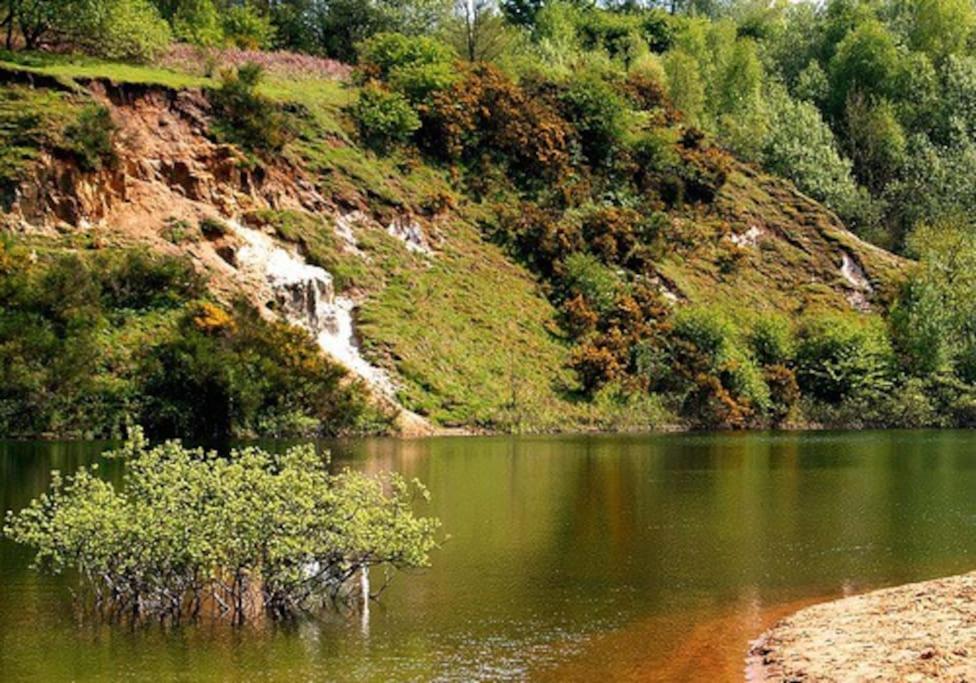 Forestry Cottage. Hot Tub, Open Fire, Dog Friendly Gaywood Esterno foto